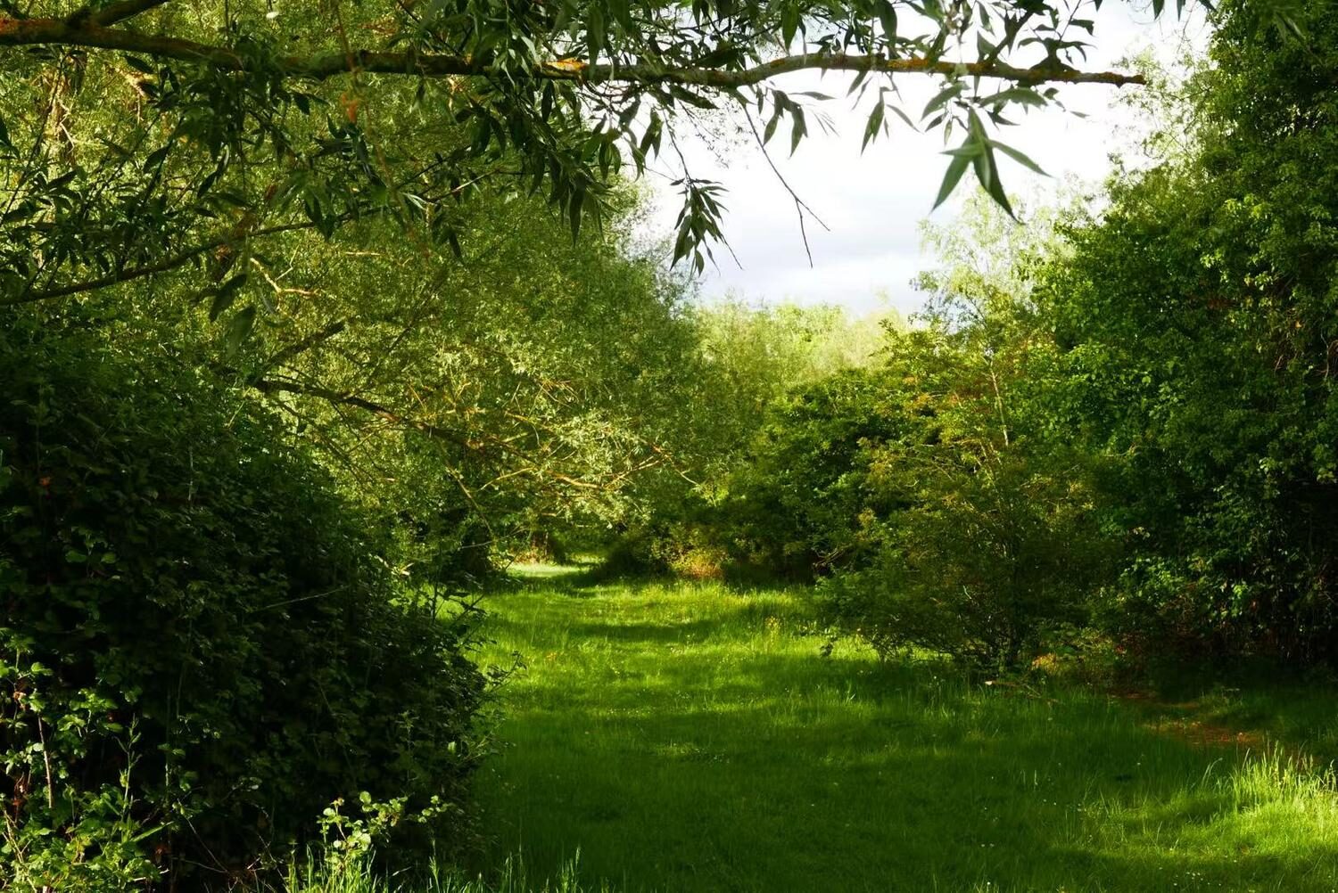Site photo