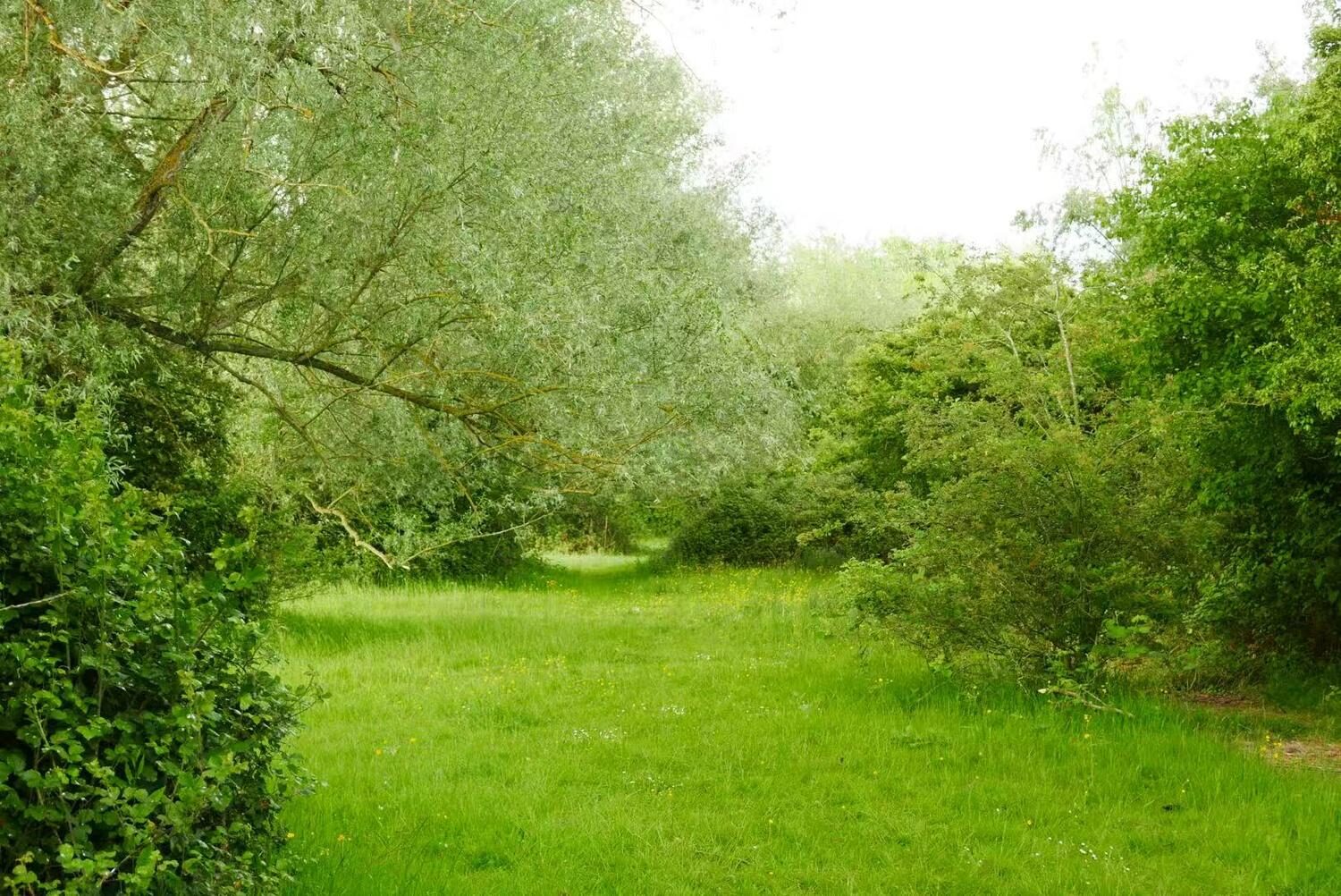 Site photo