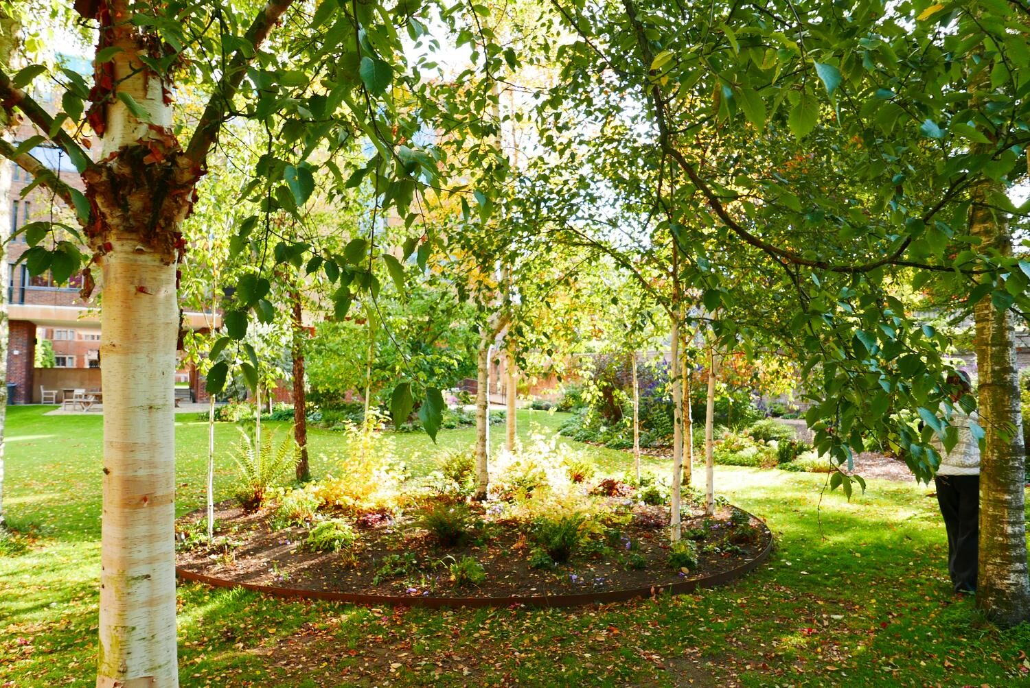 Site photo