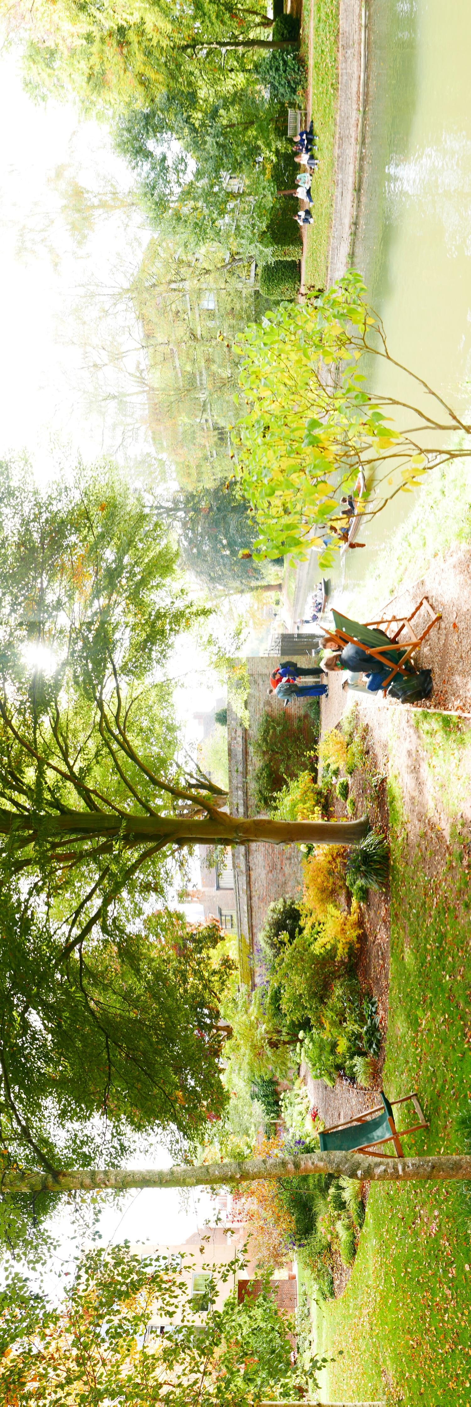 Site photo